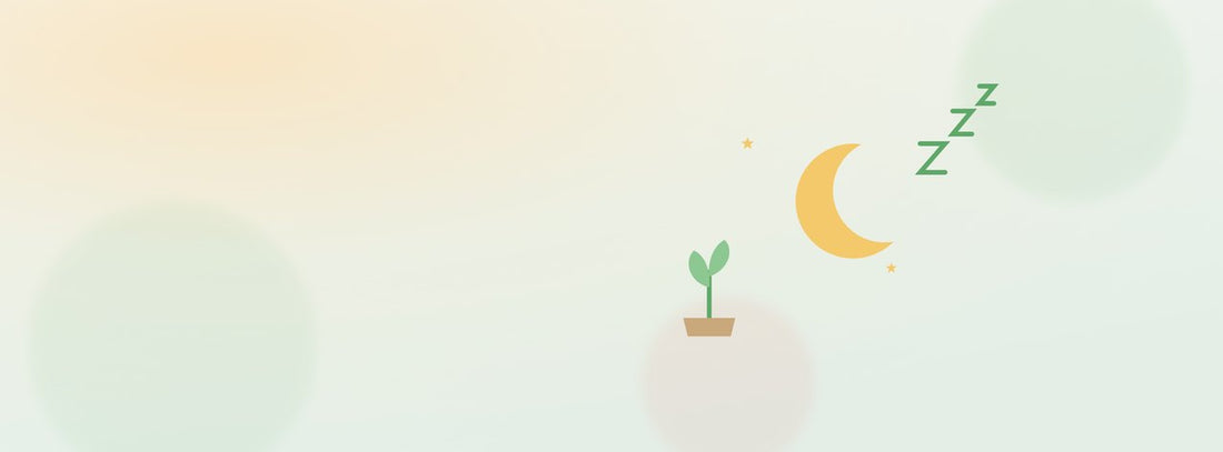 Une lune, des Zzz et une petite pousse : un sommeil de qualité nourrit la croissance.